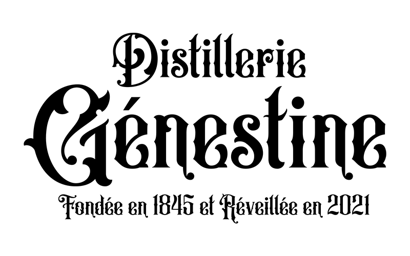 Logo Genestine, client Luds Studio
